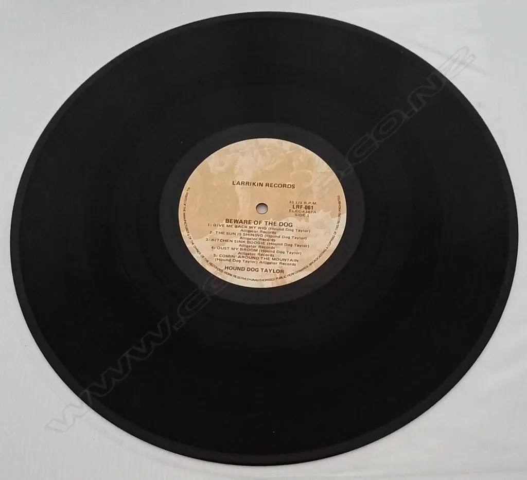 Hound Dog Taylor & The House Rockers, Beware Of The Dog! Image 1++